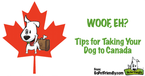 Tips for Bringing Your Dog to Canada from GoPetFriendly.com