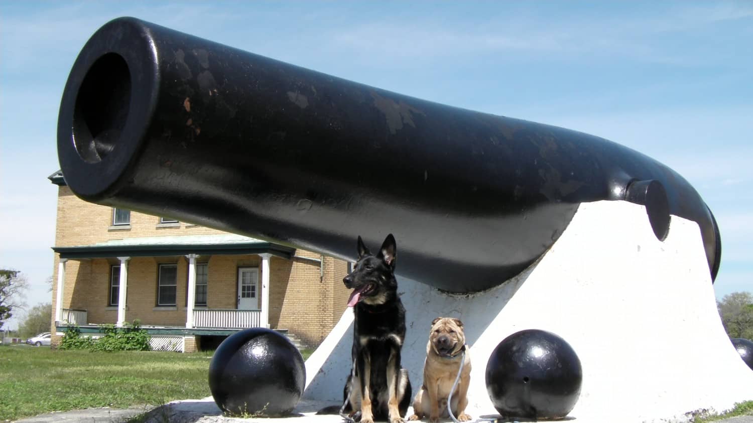 Buster and Ty with Cannon