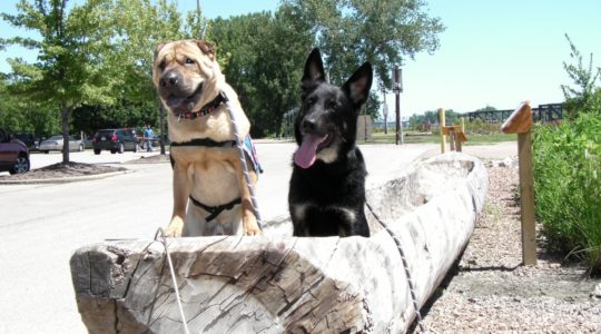 Ty and Buster in dugout canoe - St. Charles, MO