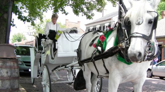 Horsedrawn carriage - St. Charles, MO