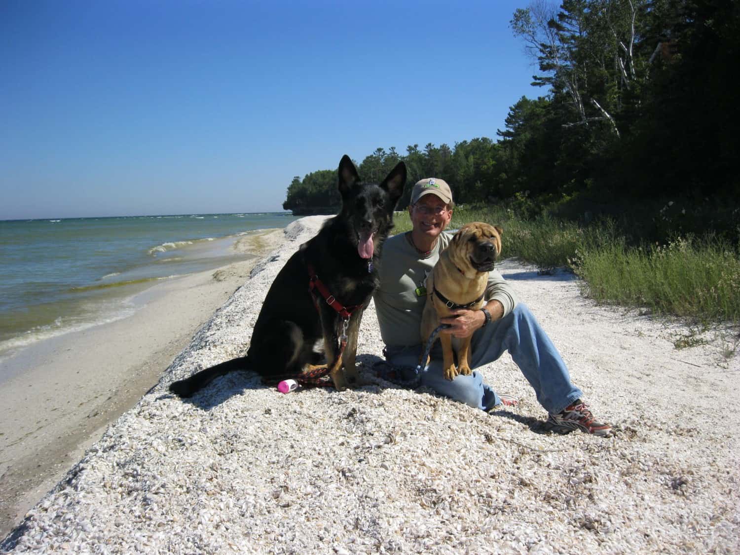 Man with two dogs on a pebble-covered beach