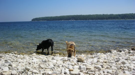 Washington Island - Door County, WI