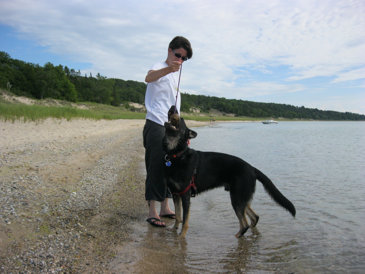 Woman playing ball on the beach with a German Shepherd Dog