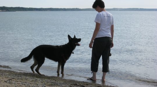 Dunes Beach - Charlevoix, MI