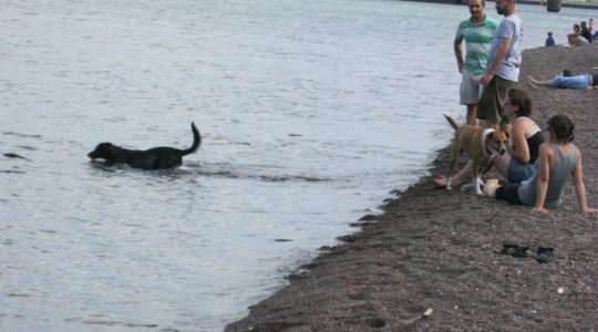 The shore is 50 yards off the Lakewalk