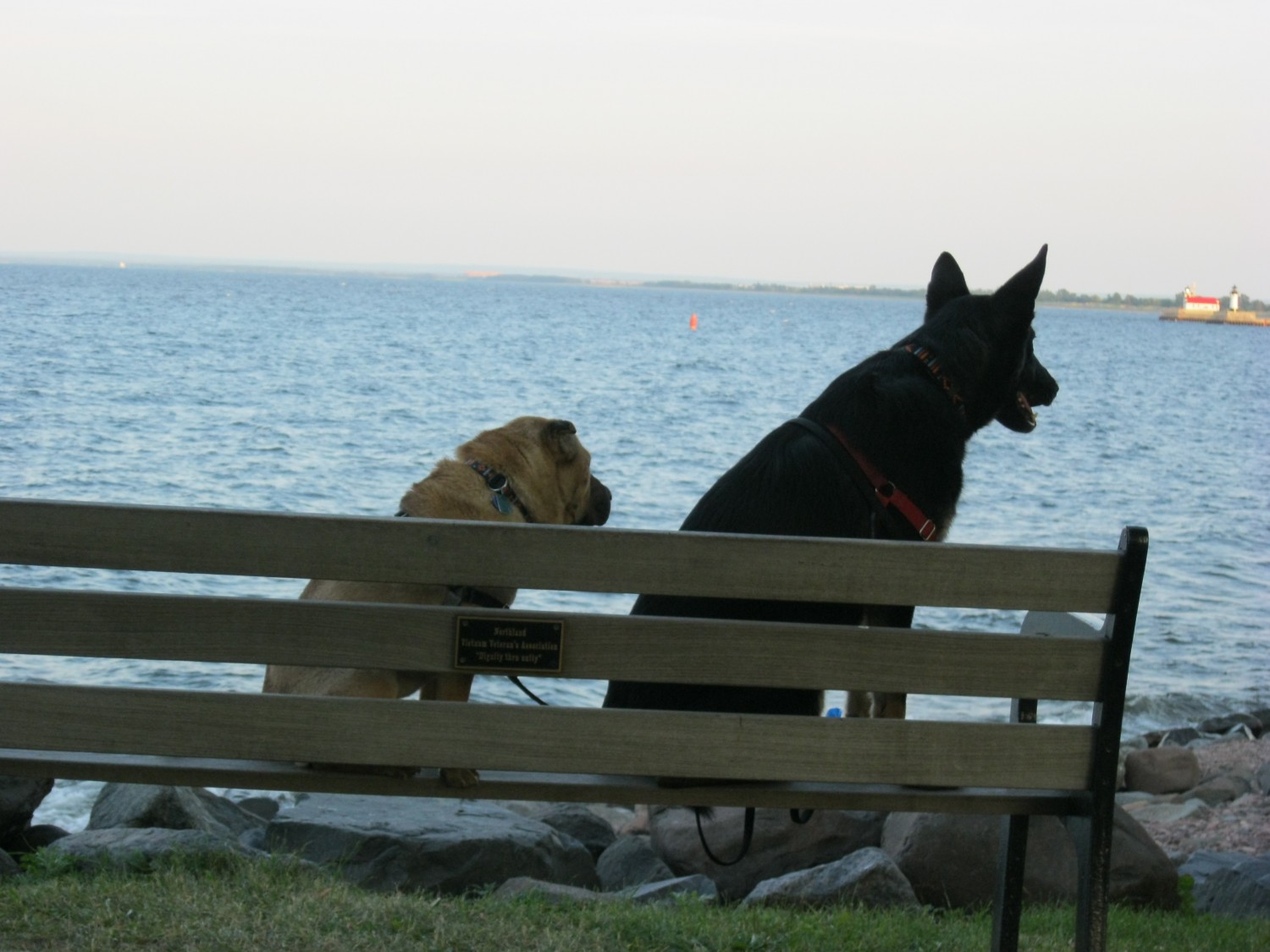 A Dog Friendly Lakewalk in Duluth, MN