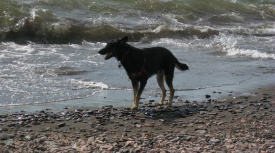 Buster cooling his heals