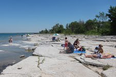 Dog Friendly Beach at Craigleith Provincial Park