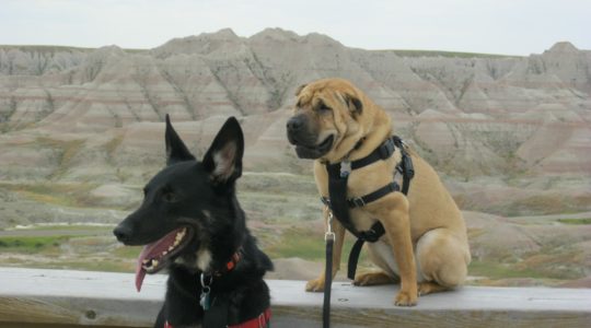 The Badlands, SD