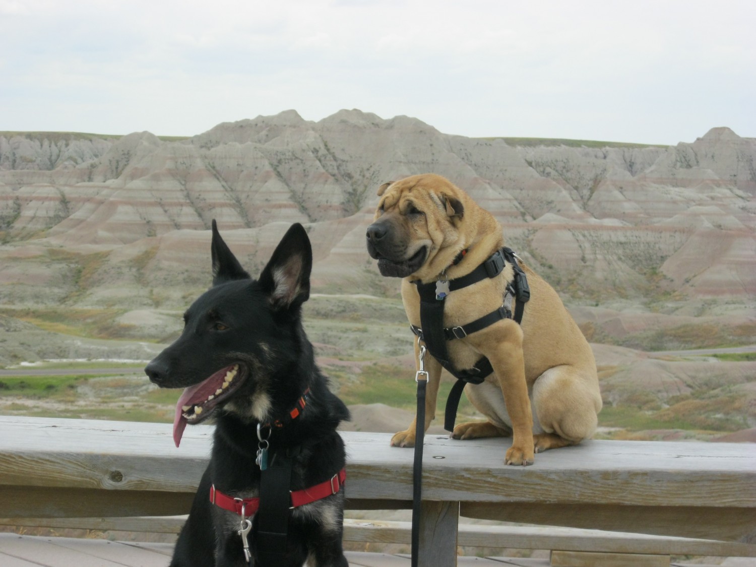 Sioux Falls and The Badlands