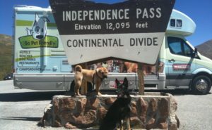 Ty and Buster at Independence Pass