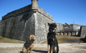 Ty and Buster at the Fort in St. Augustine, FL