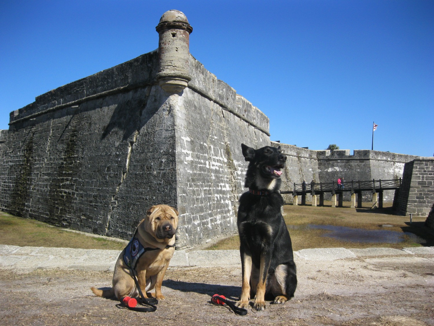 Ty and Buster at the Fort in St. Augustine, FL