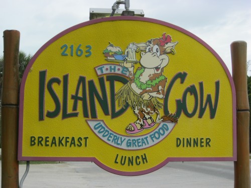 Island Cow