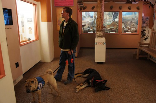 Dogs in Museum at Manitou Springs Cliff Dwellings