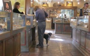 Dog and person shopping in Santa Fe, NM