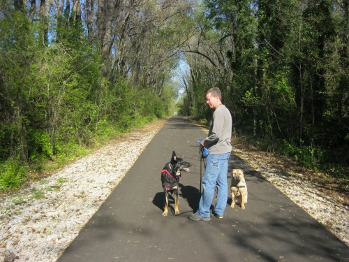 Shelby Farms Greenline Trail