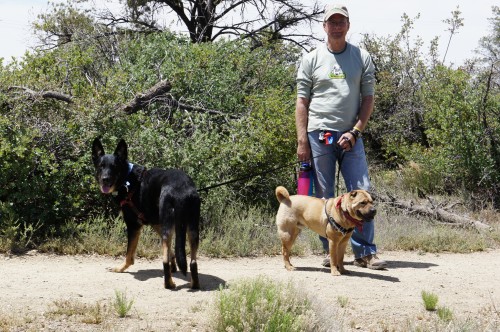 Hiking Trail - Prescott, AZ