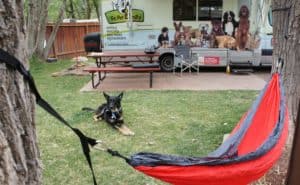 Pet Friendly RV rental at a campsite with a dog and hammock