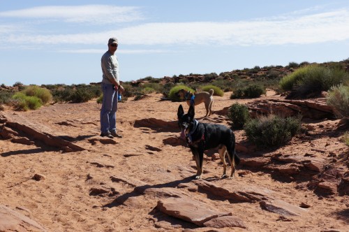 Hiking to Horseshoe Bend