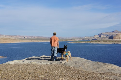 Overlooking the Lake