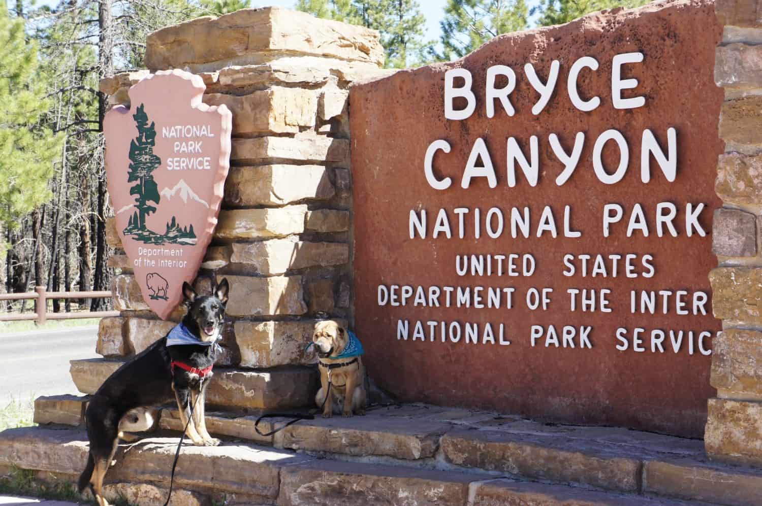 Two dogs posing with the sign at Bryce Canyon National Park in UT