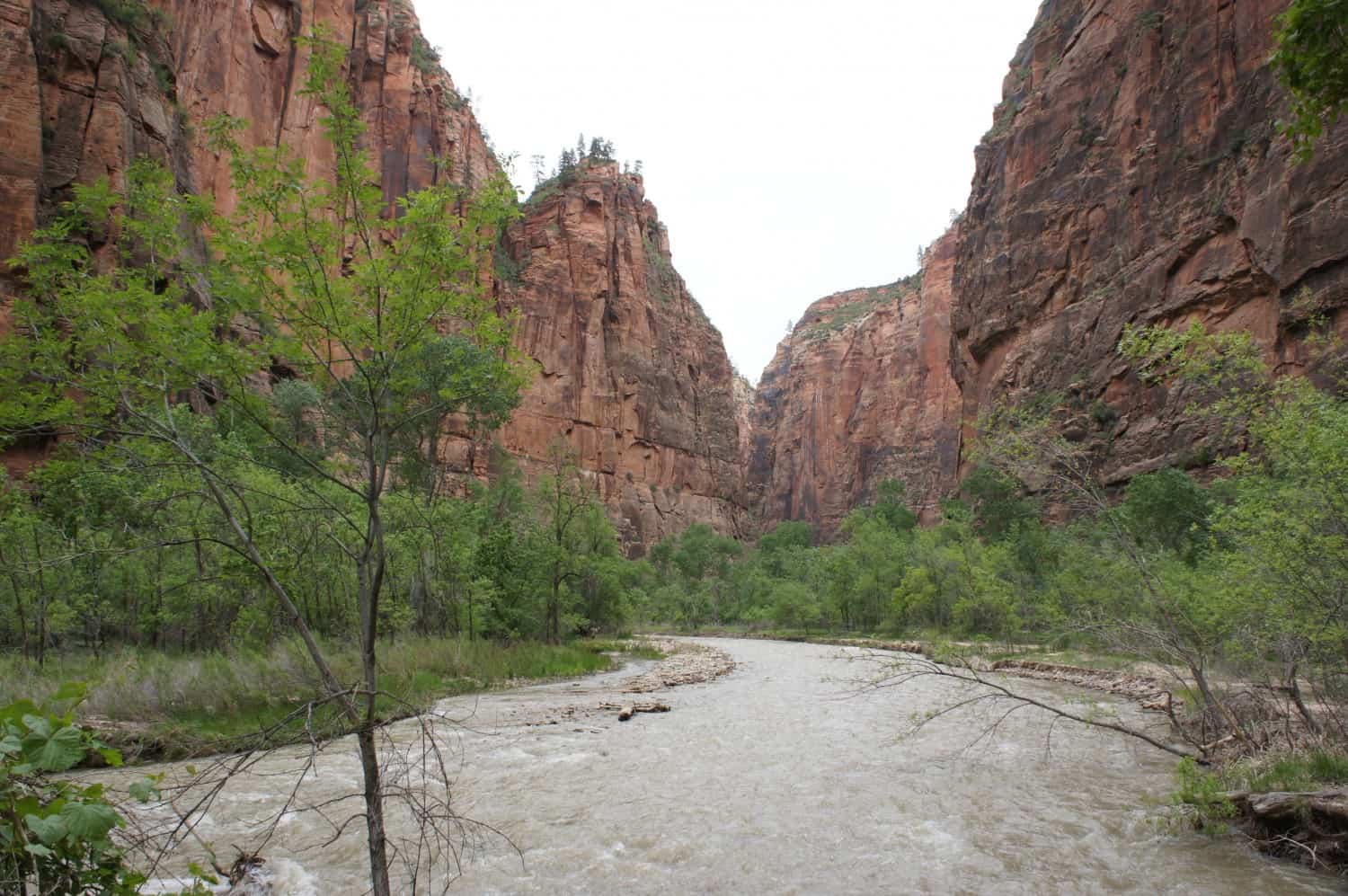 River running in Zion Canyon at Zion National Park, UT