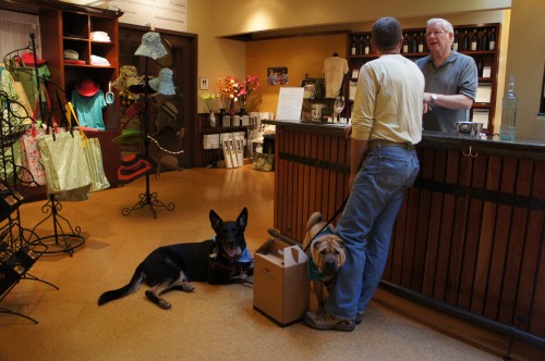 Rodney Strong Tasting Room