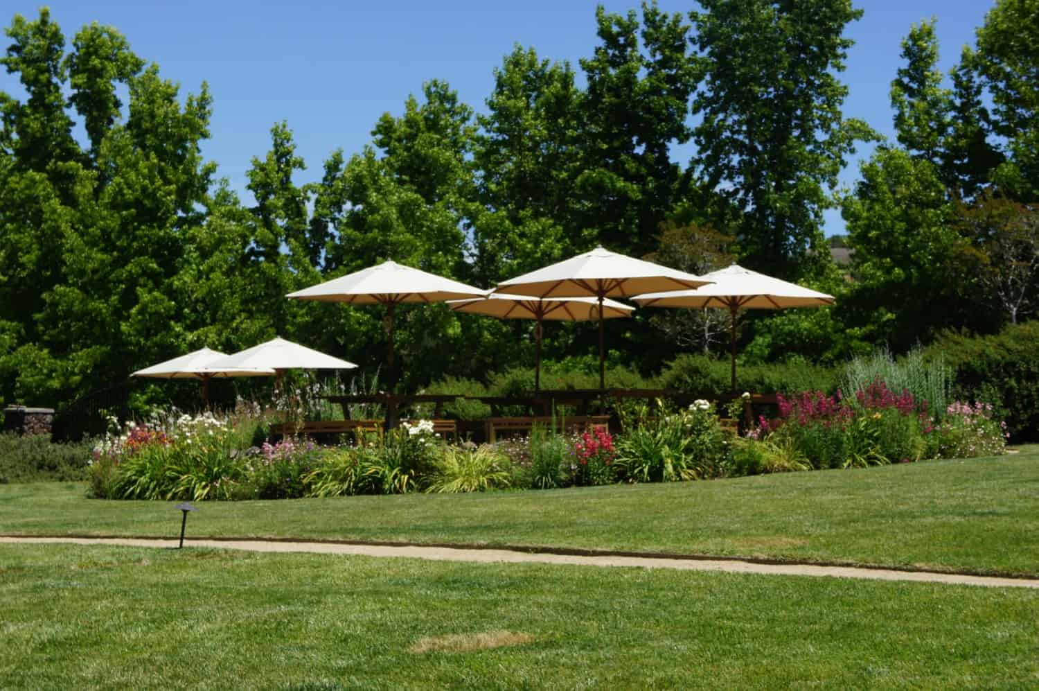 Dog Friendly Wineries à Sonoma - patio extérieur entouré de plantes à fleurs avec parasols pour l'ombre