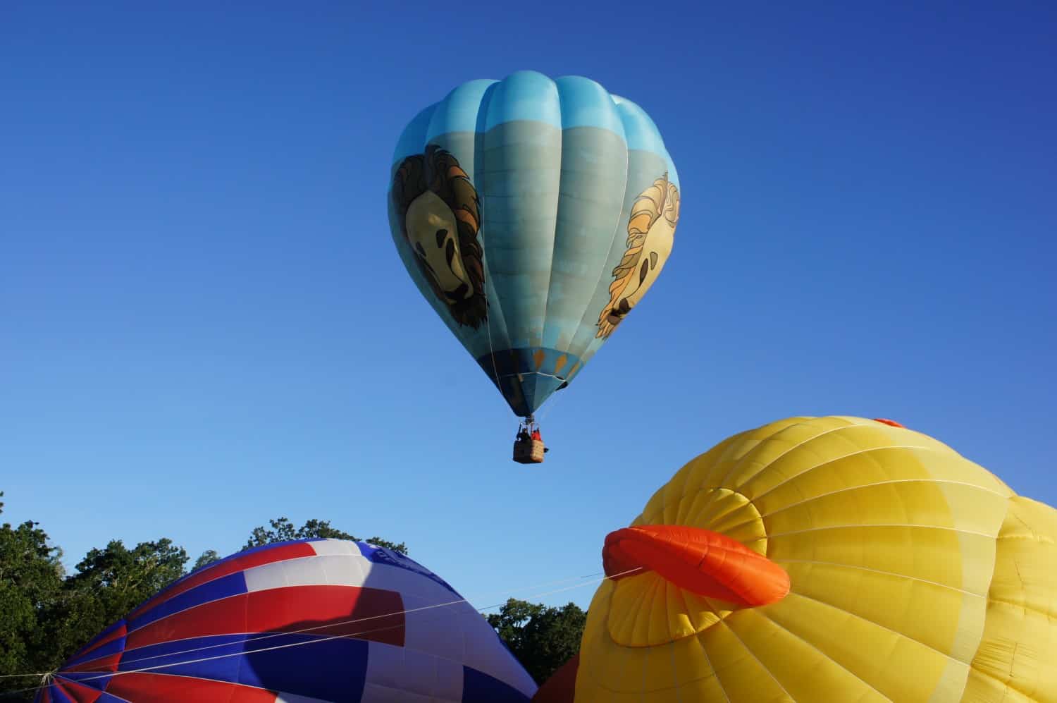 Happening Upon Hot Air Balloons