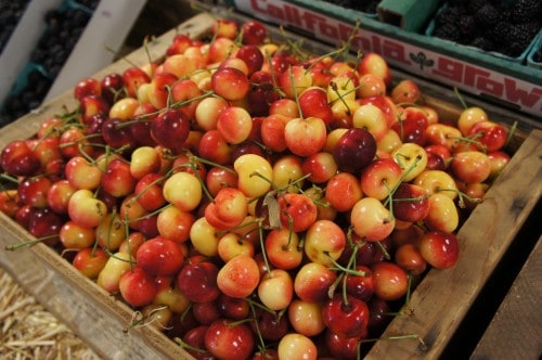 Avila Valley Barn Farm Stand