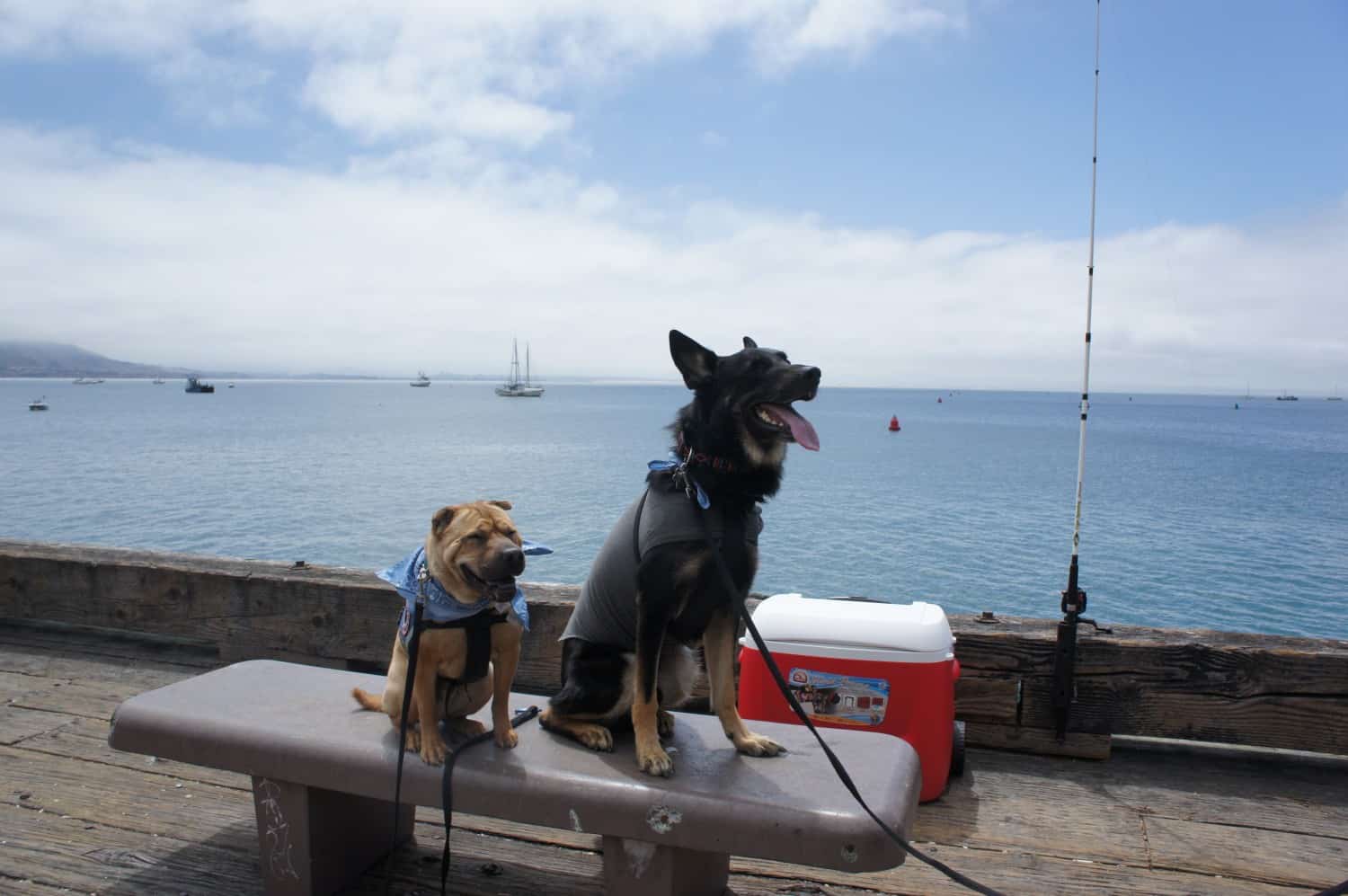 Awed By Avila Beach