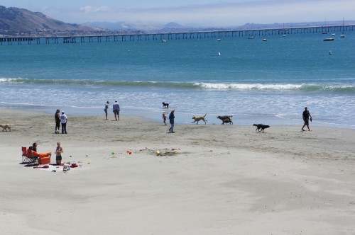 Avila Beach, CA