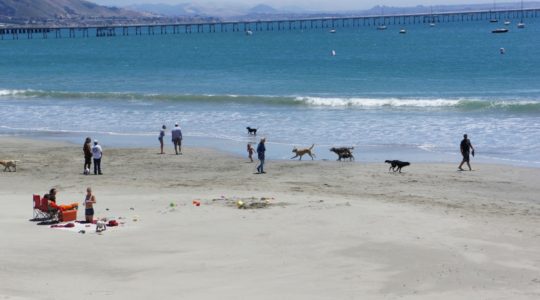 Avila Beach, CA