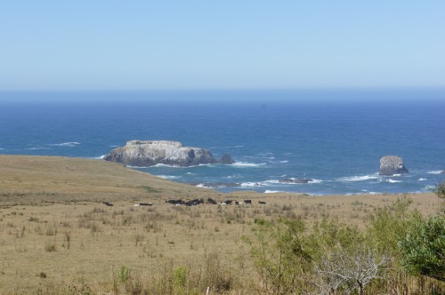 Northern Coast of California