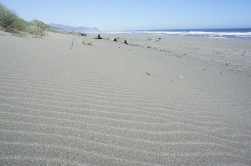 Windblown Sand - Gold Beach, Oregon
