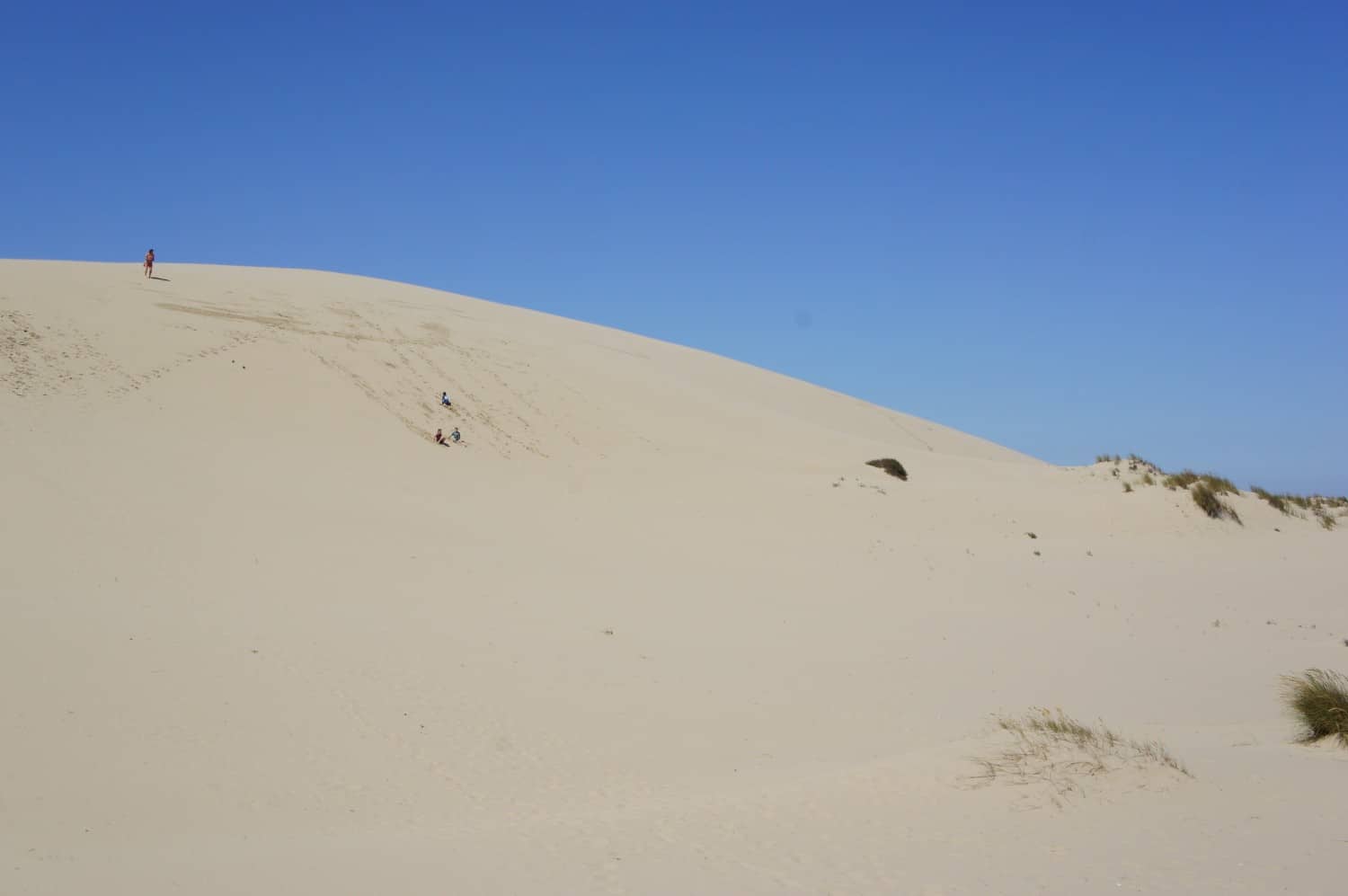 John Dellenback Dunes Trail - Lakeside, Oregon