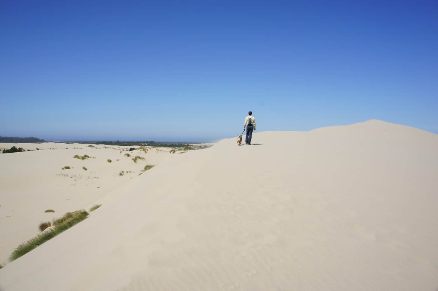 John Dellenback Dunes Trail - Lakeside, Oregon