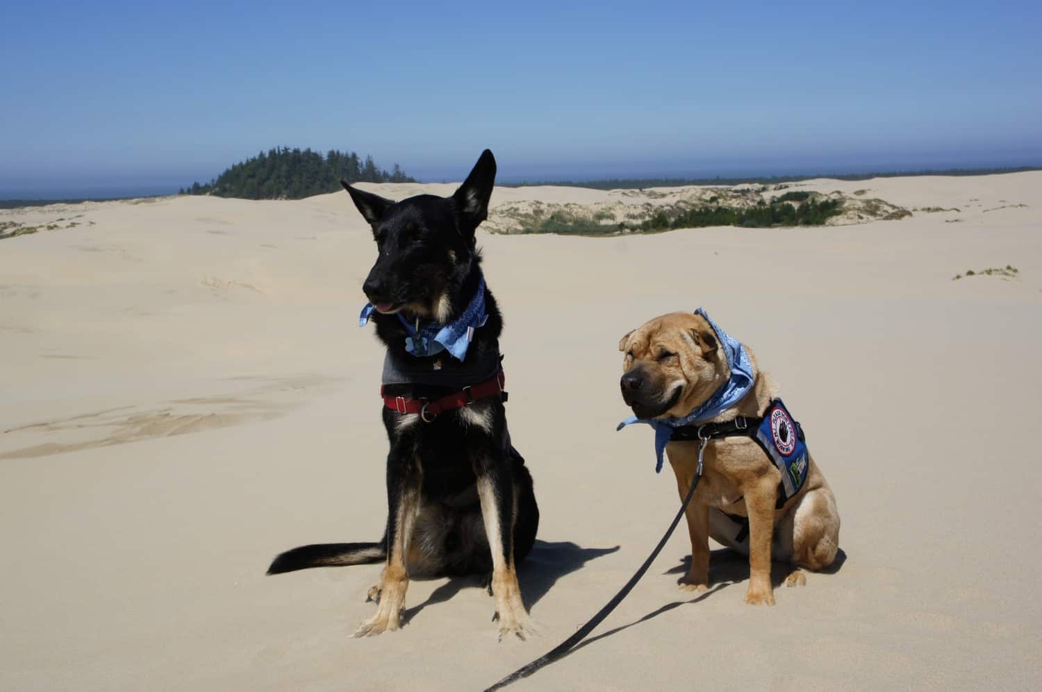 John Dellenback Dunes Trail - Lakeside, Oregon