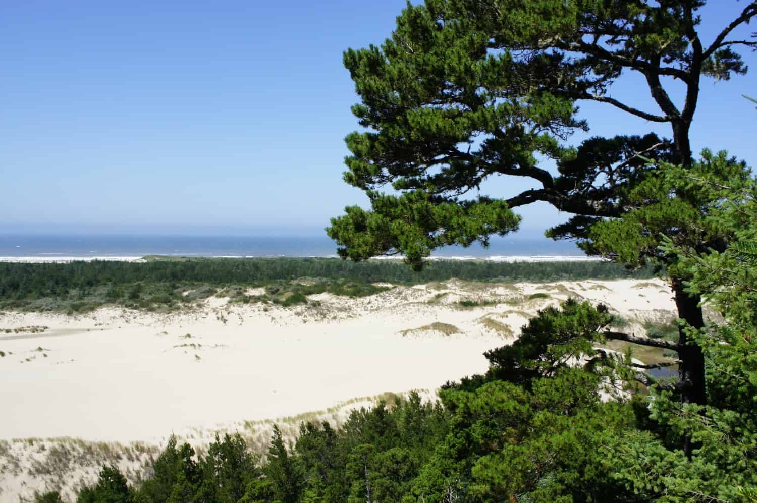 John Dellenback Dunes Trail - Lakeside, Oregon