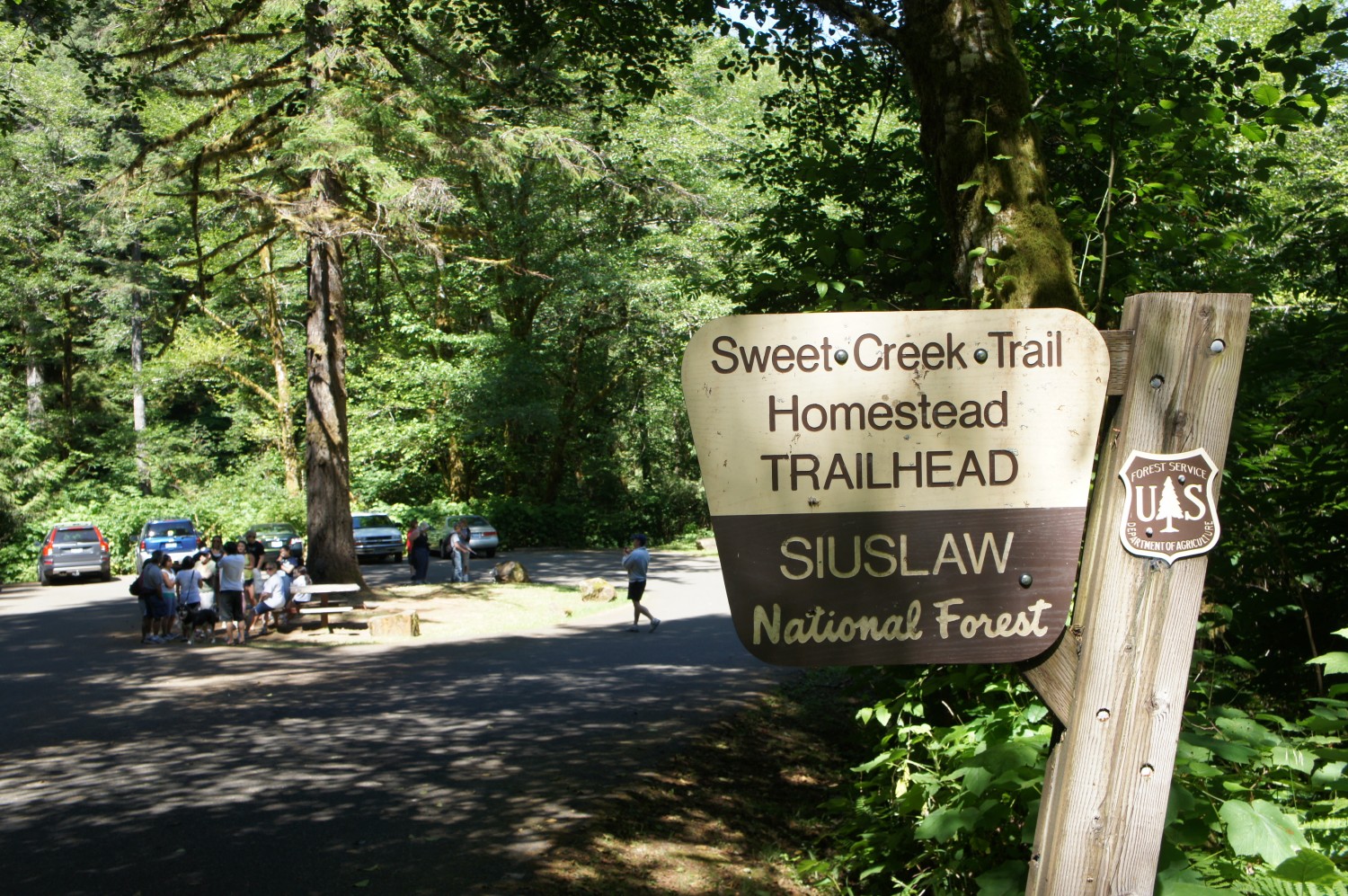 Sweet Creek Trail - Florence, Oregon