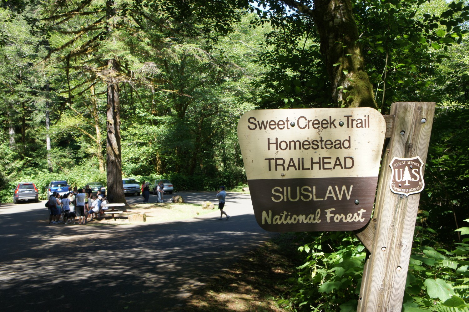 Sweet Creek Trail - Florence, Oregon