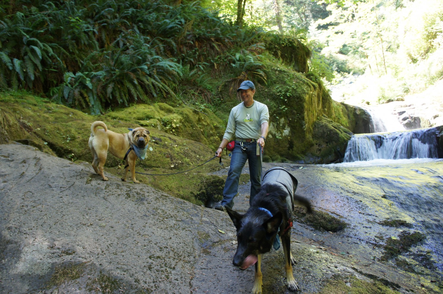 Sweet Creek Trail - Florence, Oregon