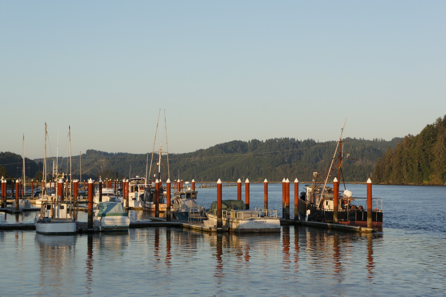 Boats in Port - Florence, OR