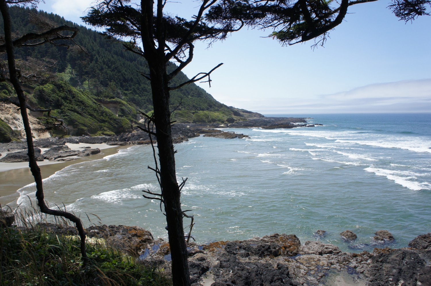 Cape Perpetula, Oregon