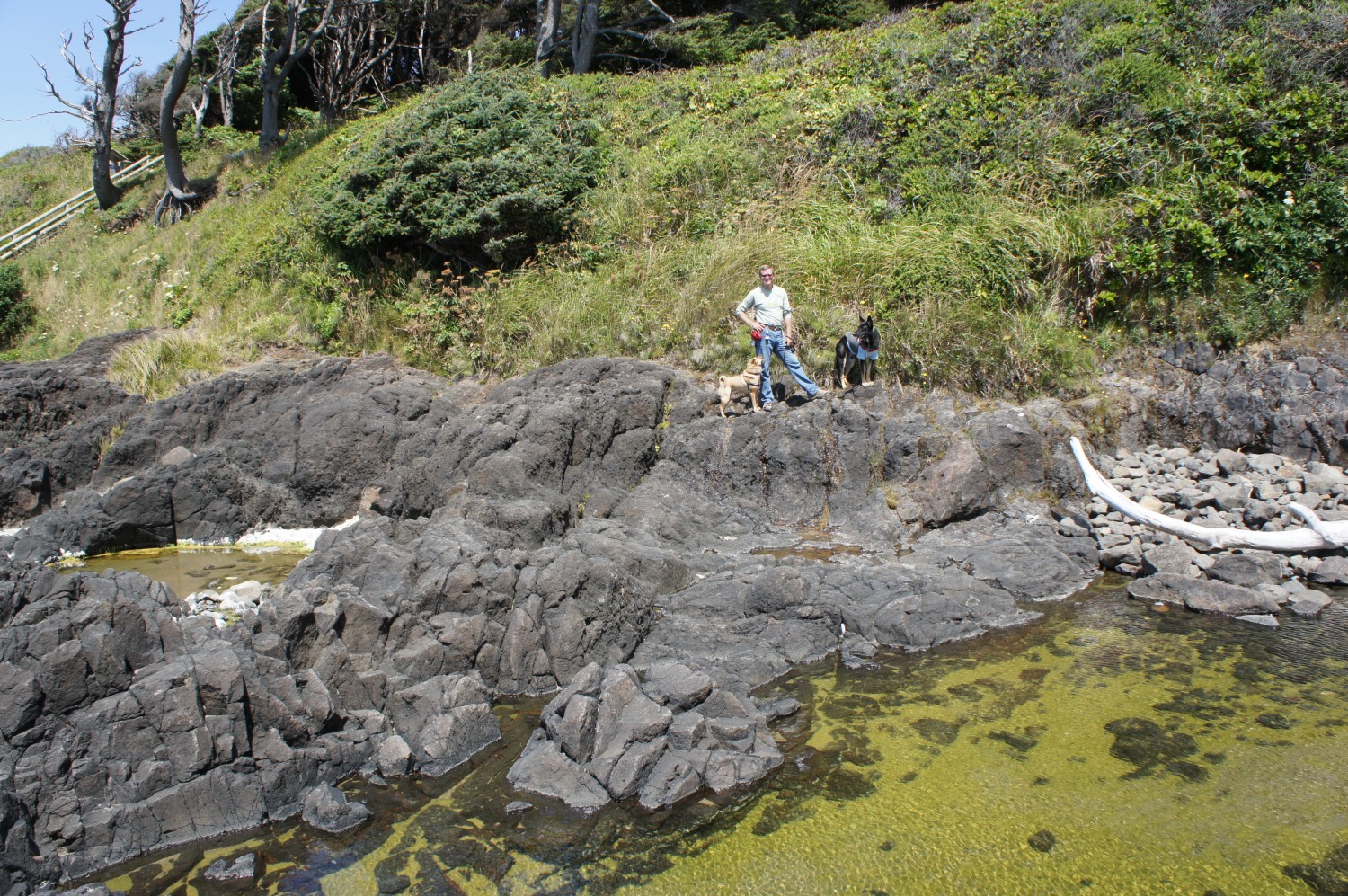 Cape Perpetula, Oregon