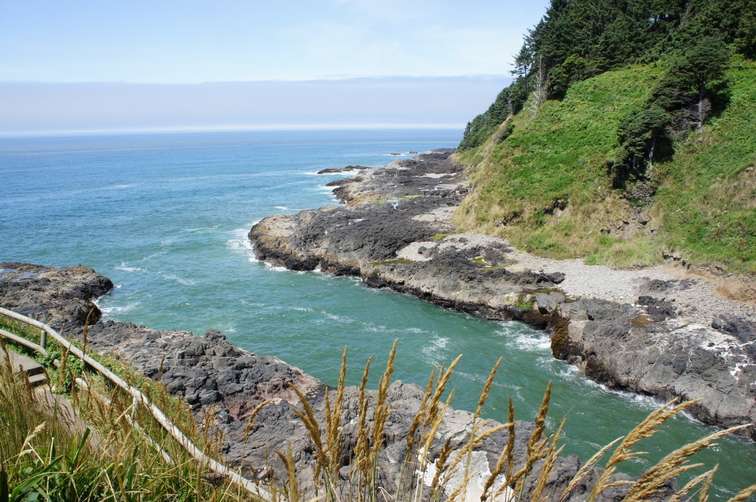 Cape Perpetula, Oregon