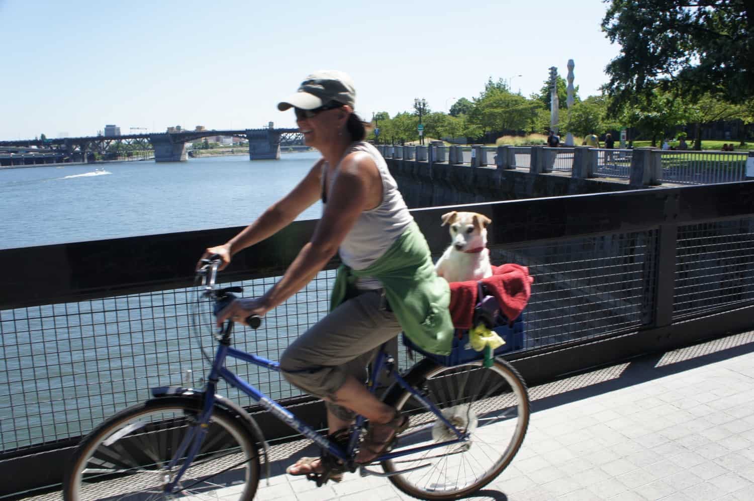 Woman riding a bike with her dog in a basket on a bridge in pet-friendly Portland, Oregon