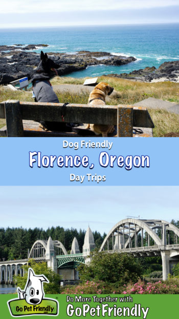 Two dogs on a bench near pet friendly Florence, Oregon