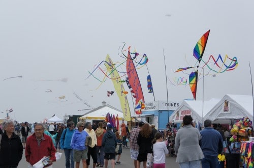 Kite Festival - Long Beach, WA